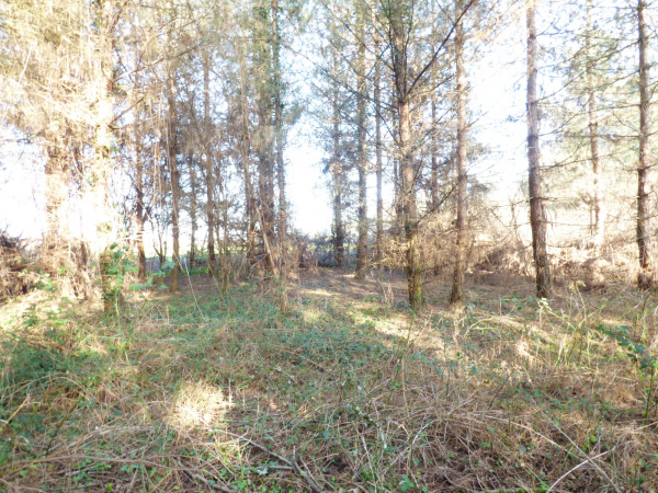 Offres de vente Terrain Souvigny-en-Sologne 41600